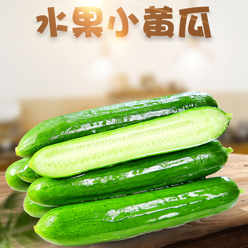 山东水果黄瓜代发3/5斤应季脆甜小黄瓜无刺生吃新鲜旱黄瓜蔬菜